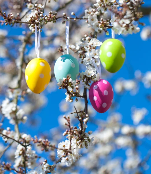 Uova di Pasqua — Foto Stock