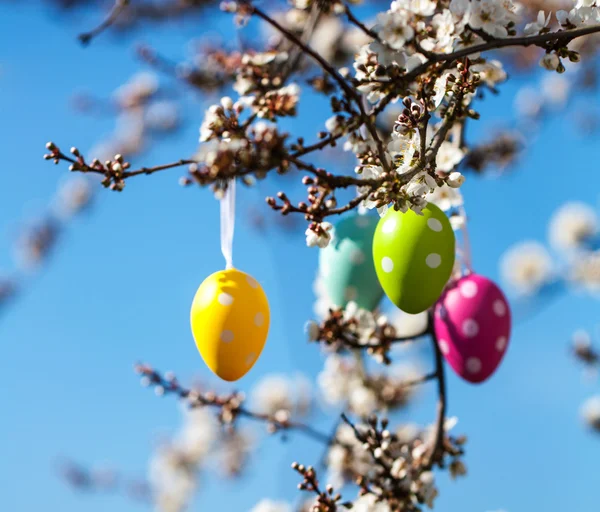 Huevos de Pascua — Foto de Stock