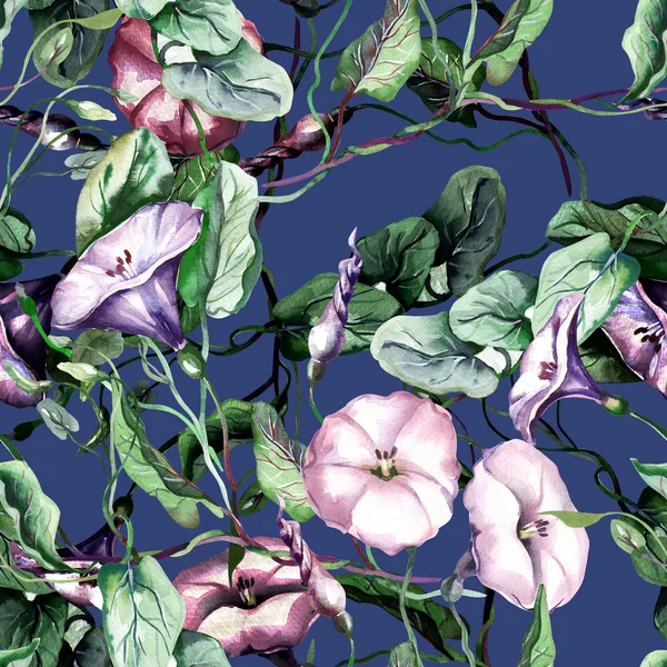 Field Bindweed Seamless Pattern — Stock Photo, Image