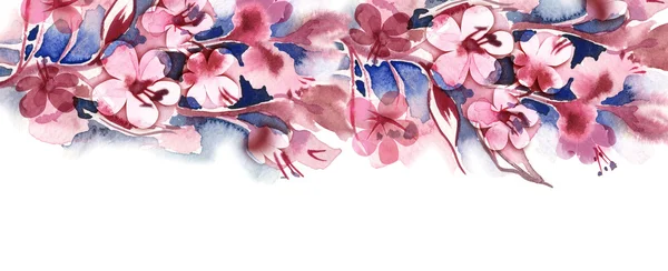 Цветущая сакура — стоковое фото