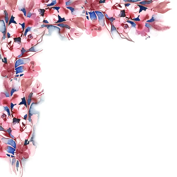 Cherry Blossom Branch — Stock Photo, Image