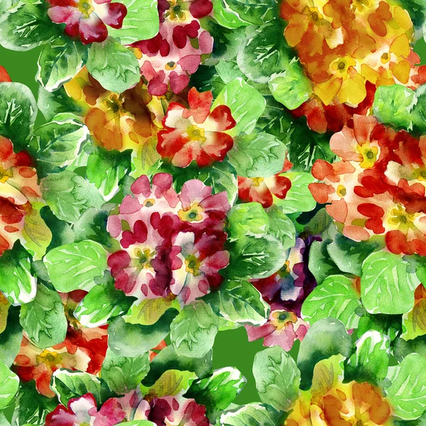 Primula Seamless Pattern — Stock Photo, Image