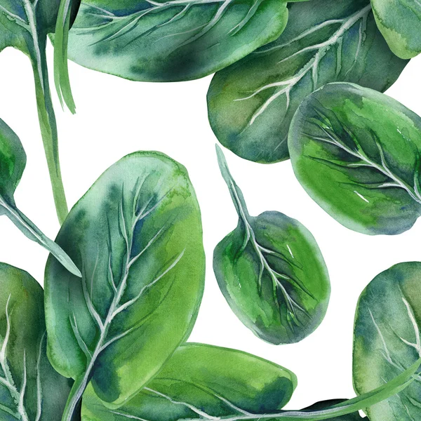 Spinach Seamless Pattern — Stock Photo, Image