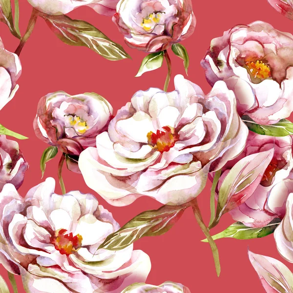 White Peonies Seamless Pattern — Zdjęcie stockowe