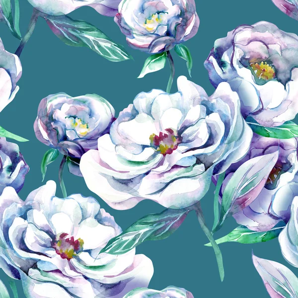 白牡丹のシームレスなパターン — ストック写真
