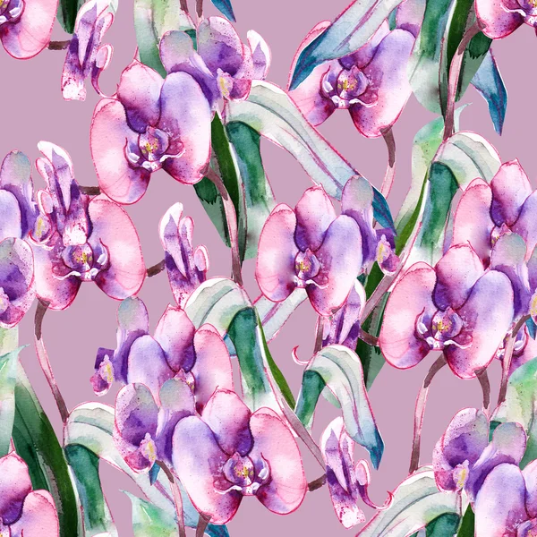 Orchidee naadloos patroon — Stockfoto