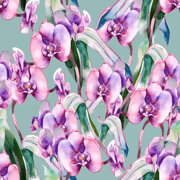 Modello senza cuciture del Orchid — Foto Stock