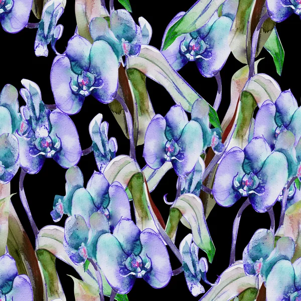 Orchidee naadloos patroon — Stockfoto