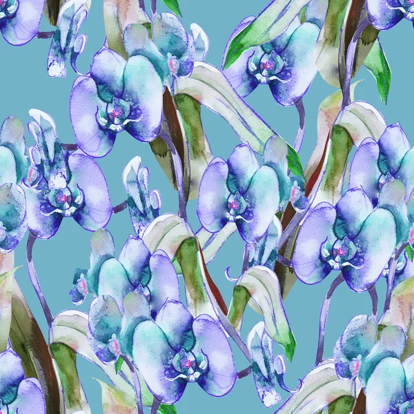 Modello senza cuciture del Orchid — Foto Stock