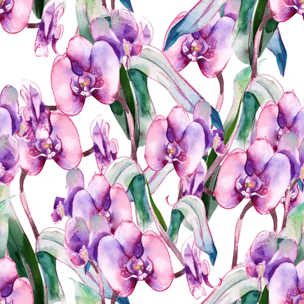 Orkidésömlösa mönster — Stockfoto