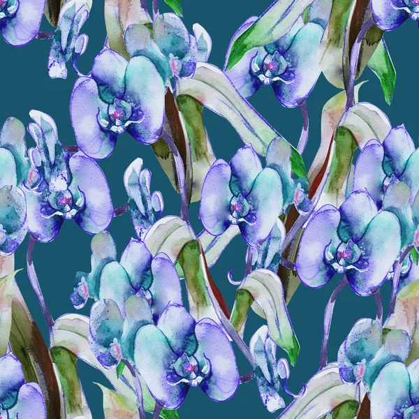 Modello senza cuciture del Orchid — Foto Stock