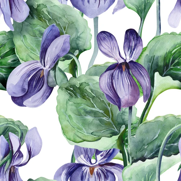 Viola Seamless Pattern — Stock Photo, Image