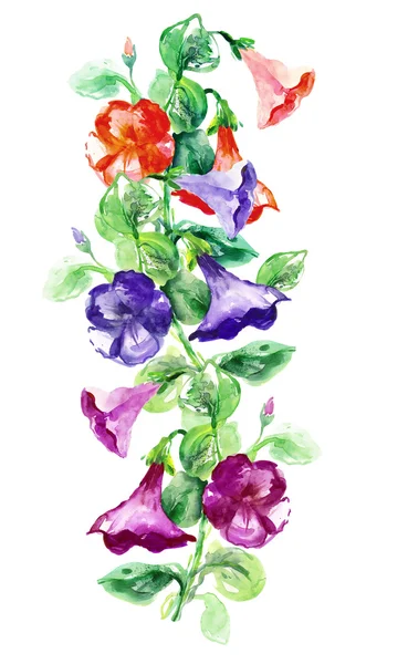 Petunias — Stock Photo, Image