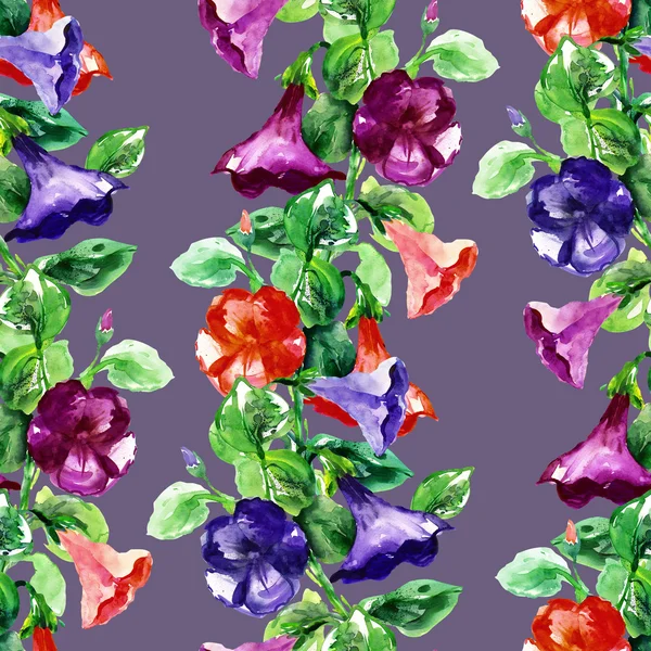 Petunia naadloze garland — Stockfoto
