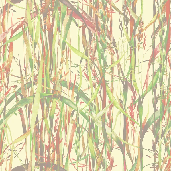 Grass Seamless Pattern — Stock Photo, Image