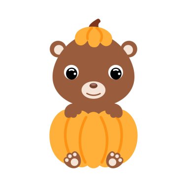 Balkabağının içinde oturan sevimli küçük ayı. Çocuk tişörtleri için çizgi film karakteri, çocuk odası dekorasyonu, bebek partisi, tebrik kartı, davetiye. Vektör stok illüstrasyonu