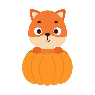 Balkabağının içinde oturan şirin tilki. Çocuk tişörtleri için çizgi film karakteri, çocuk odası dekorasyonu, bebek partisi, tebrik kartı, davetiye. Vektör stok illüstrasyonu