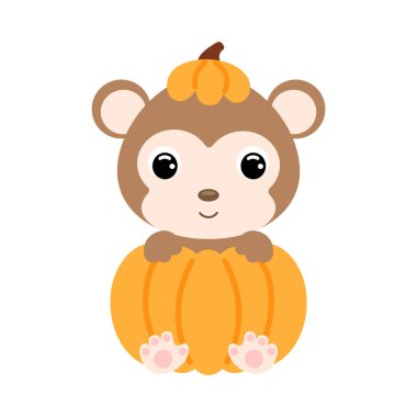 Balkabağının içinde oturan şirin küçük maymun. Çocuk tişörtleri için çizgi film karakteri, çocuk odası dekorasyonu, bebek partisi, tebrik kartı, davetiye. Vektör stok illüstrasyonu