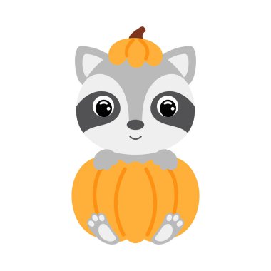 Balkabağının içinde oturan sevimli küçük rakun. Çocuk tişörtleri için çizgi film karakteri, çocuk odası dekorasyonu, bebek partisi, tebrik kartı, davetiye. Vektör stok illüstrasyonu