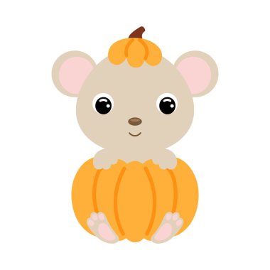 Balkabağının içinde oturan sevimli küçük fare. Çocuk tişörtleri için çizgi film karakteri, çocuk odası dekorasyonu, bebek partisi, tebrik kartı, davetiye. Vektör stok illüstrasyonu