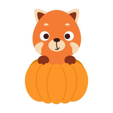 Balkabağının içinde oturan sevimli küçük kırmızı panda. Çocuk tişörtleri için çizgi film karakteri, çocuk odası dekorasyonu, bebek partisi, tebrik kartı, davetiye. Vektör stok illüstrasyonu