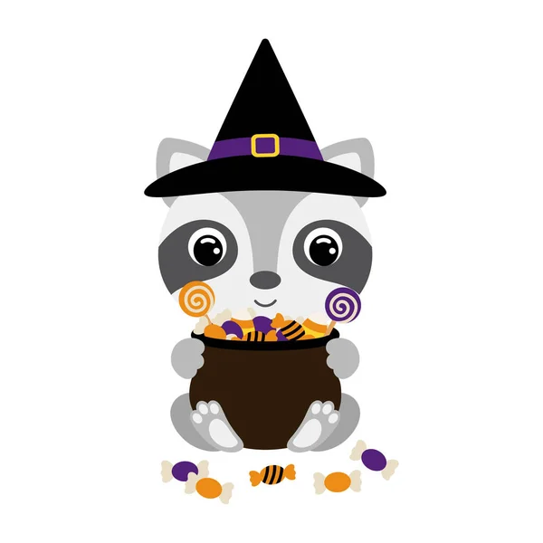 Cute Halloween Raccoon Witch Hat Holding Pot Candies Cartoon Animal — 图库矢量图片
