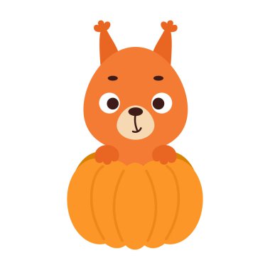 Balkabağının içinde oturan şirin küçük sincap. Çocuk tişörtleri için çizgi film karakteri, çocuk odası dekorasyonu, bebek partisi, tebrik kartı, davetiye. Vektör stok illüstrasyonu