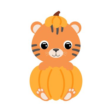 Balkabağının içinde oturan sevimli küçük kaplan. Çocuk tişörtleri için çizgi film karakteri, çocuk odası dekorasyonu, bebek partisi, tebrik kartı, davetiye. Vektör stok illüstrasyonu