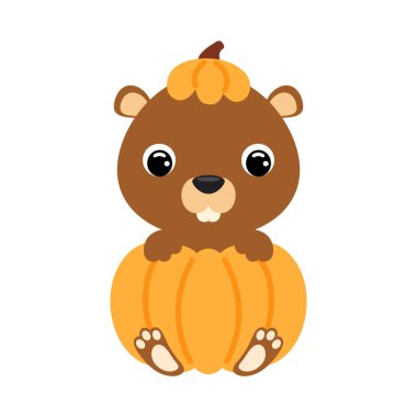 Balkabağının içinde oturan sevimli küçük kunduz. Çocuk tişörtleri için çizgi film karakteri, çocuk odası dekorasyonu, bebek partisi, tebrik kartı, davetiye. Vektör stok illüstrasyonu