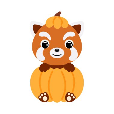 Balkabağının içinde oturan sevimli küçük kırmızı panda. Çocuk tişörtleri için çizgi film karakteri, çocuk odası dekorasyonu, bebek partisi, tebrik kartı, davetiye. Vektör stok illüstrasyonu