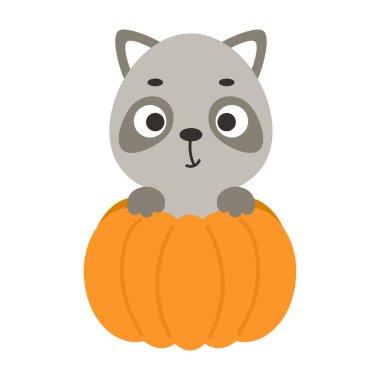 Balkabağının içinde oturan sevimli küçük rakun. Çocuk tişörtleri için çizgi film karakteri, çocuk odası dekorasyonu, bebek partisi, tebrik kartı, davetiye. Vektör stok illüstrasyonu