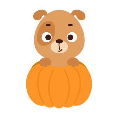 Balkabağının içinde oturan sevimli küçük köpek. Çocuk tişörtleri için çizgi film karakteri, çocuk odası dekorasyonu, bebek partisi, tebrik kartı, davetiye. Vektör stok illüstrasyonu