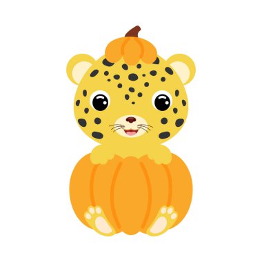 Cute little cheetah sitting in a pumpkin. Cartoon animal character for kids t-shirts, nursery decoration, baby shower, greeting card, invitation. Vector stock illustration