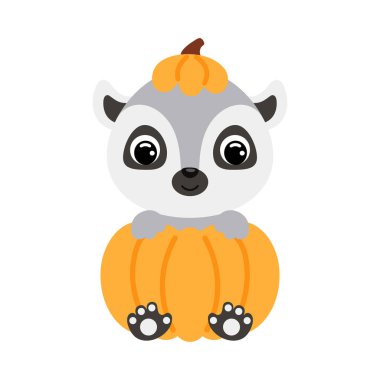 Cute little lemur sitting in a pumpkin. Cartoon animal character for kids t-shirts, nursery decoration, baby shower, greeting card, invitation. Vector stock illustration