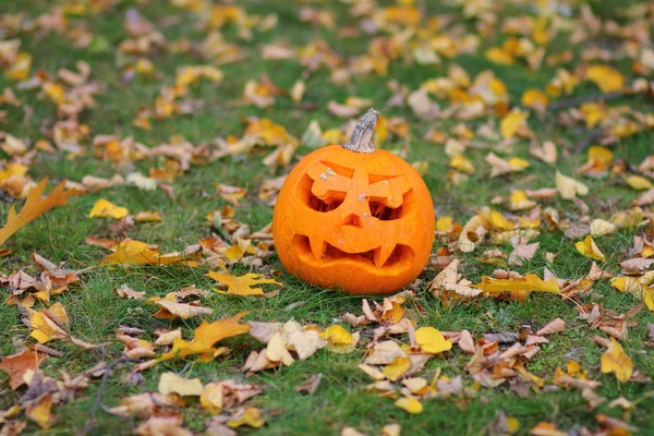 Cadılar Bayramı pumpking — Stok fotoğraf