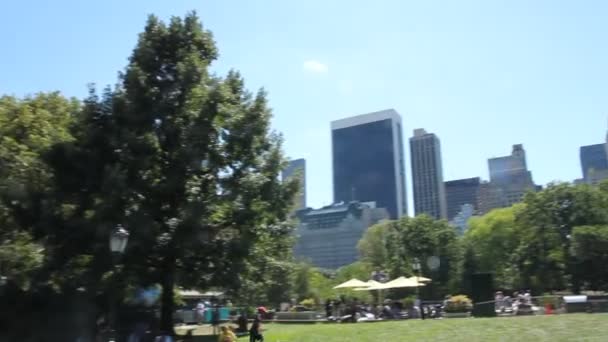 Central Park - New York 
