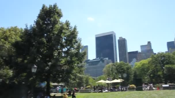 Central Park - New York City — Stock Video