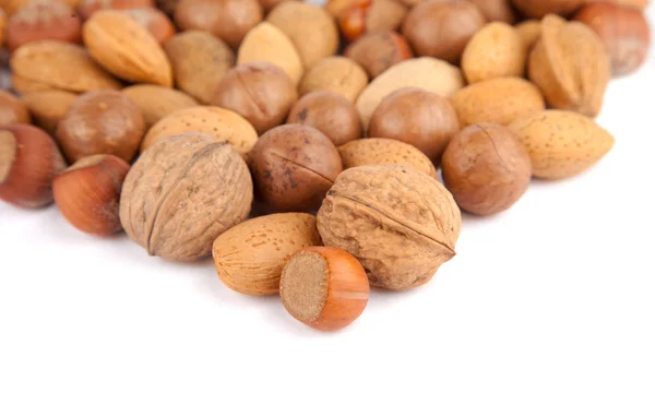 Hazelnut и другие орехи — стоковое фото