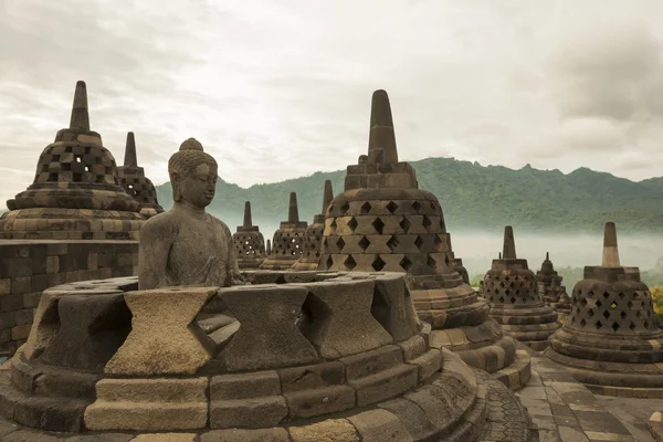 Borobudur Temple at sunrise.Indonesia.