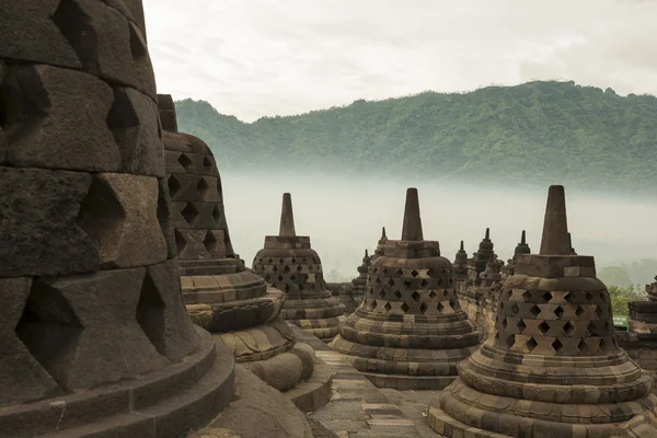 Borobudur Temple at sunrise.Indonesia.