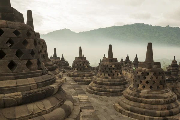 Borobudur Temple at sunrise.Indonesia.
