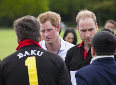 Berkshire, İngiltere - 11 Nisan 2014: Galler Prensi william ve harry