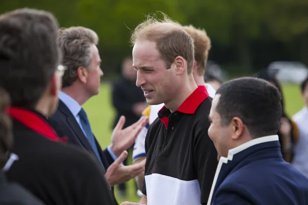 Berkshire, İngiltere - 11 Nisan 2014: Galler Prensi william