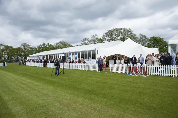 Berkshire, İngiltere: de beers Pırlanta kuyumcuları Kraliyet sadaka polo cup için 11 Nisan 2014 Konuklar katıldı