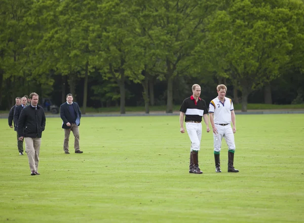 Berkshire, İngiltere-Mayıs 11, 2014: Galler Prensi william ve hrh Prens harry katılım için de beers Pırlanta kuyumcuları Kraliyet sadaka polo cup