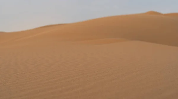 Het Landschap Van Hertog Zandduin Qatar Selectieve Focus — Stockfoto