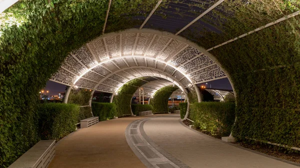 Doha Qatar May 2022 Gharrafa Public Park Night — 스톡 사진