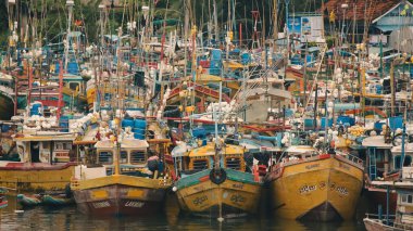 Negombo, Srilanka- Ağustos 08.2022: Negombo balıkçı limanında birden fazla balıkçı teknesi.