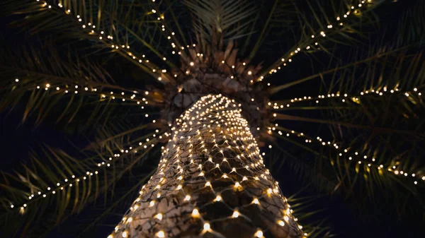 Palmier Décoré Lumière Doha Qatar Pour Ramadan — Photo