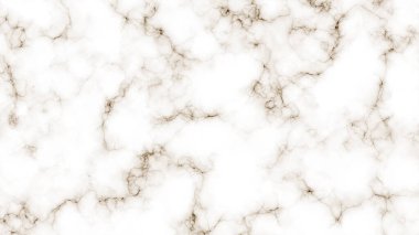 Soyut beyaz mermer desenli arka plan ve Sepia çizgi derisi. Yaratıcı taş duvar iç mimarisi arka plan tasarımı.